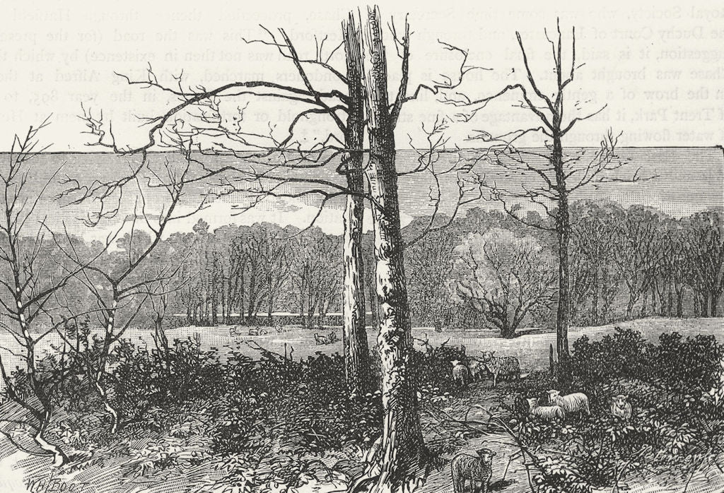 ENFIELD CHASE. In Beech Hill Park. Essex 1888 old antique print picture